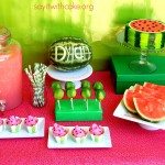 Watermelon Party 2