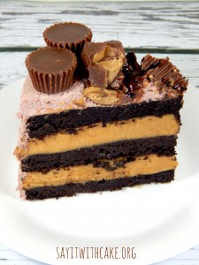 chocolate peanutbutter cake
