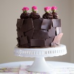 Chocolate Layer Cakes